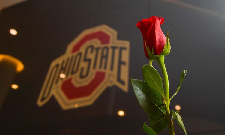 Utah Lost The Rose Bowl - And I Don't Think I Care?